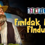 Fırıldak Kedi Findus