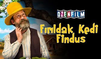 Fırıldak Kedi Findus