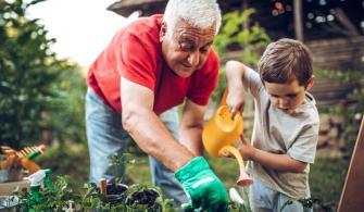 Grandfather and grandson in garden