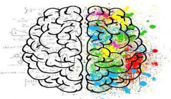 Genel Kültür Soruları