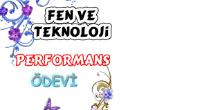 Fen ve Teknolojisi Performans Ödevi