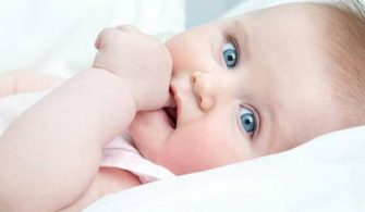 Neden Bebekler Elini Emer