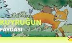 Tilkinin Kuyruğunun Faydası