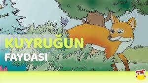 Tilkinin Kuyruğunun Faydası